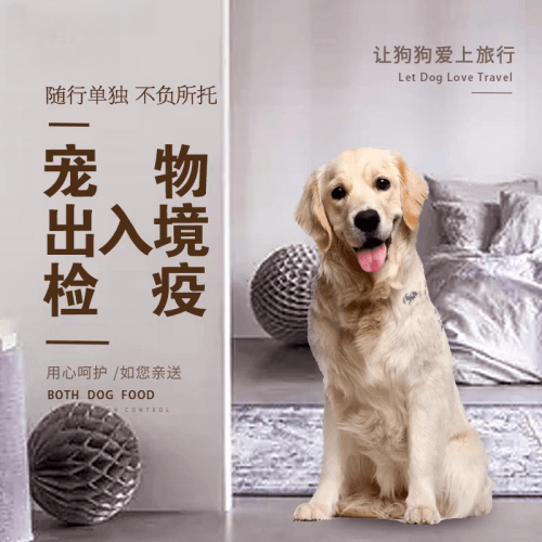 百色市宠物托运到哥伦比亚猫狗宠物入境规定和
