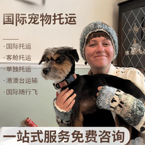 百色市国际宠物托运到阿根廷宠物入境规定和要