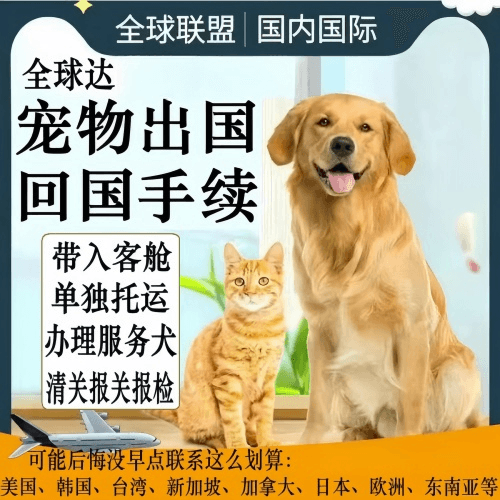百色市宠物托运到柬埔寨宠物入境规定和要求