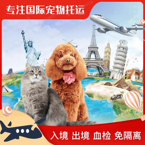百色市宠物托运到美国宠物入境最新规定和要求
