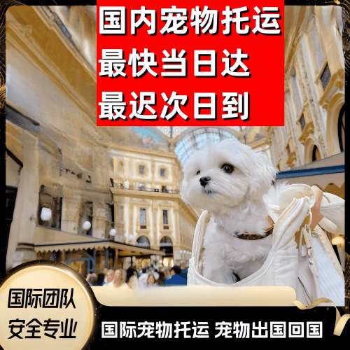 百色市到澳大利亚（澳洲）宠物入境规定和要求